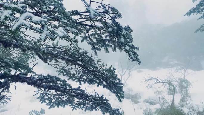 瓦屋山雾凇雪景