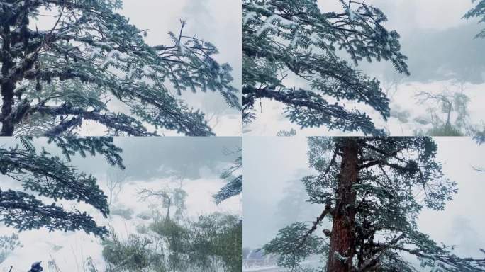 瓦屋山雾凇雪景