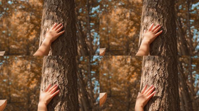 女孩伸手触摸树干视频素材