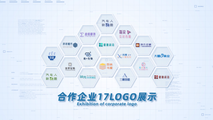 17合作企业公司logo标志展示AE
