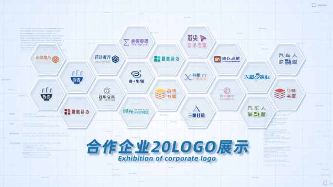 20合作企业公司logo标志展示AE