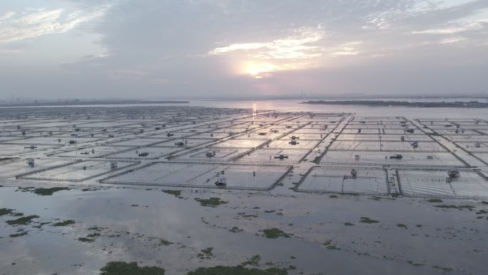 江苏昆山阳澄湖大闸蟹养殖基地4K航拍