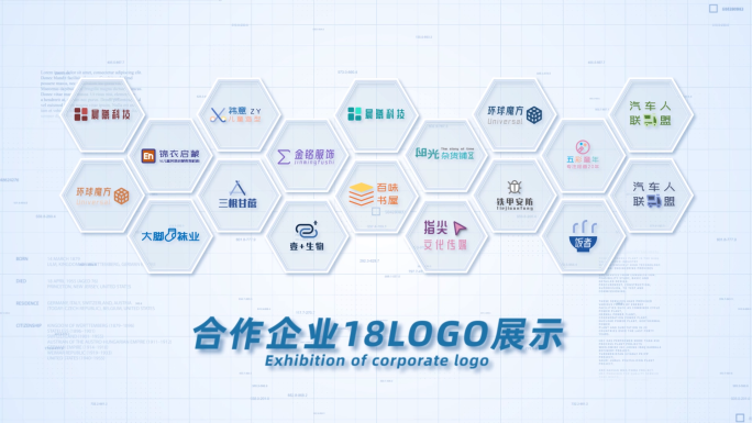 18合作企业公司logo标志展示AE