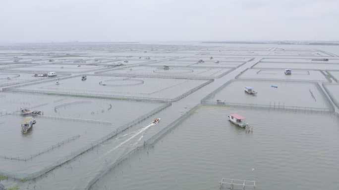 江苏昆山阳澄湖大闸蟹养殖基地4K航拍