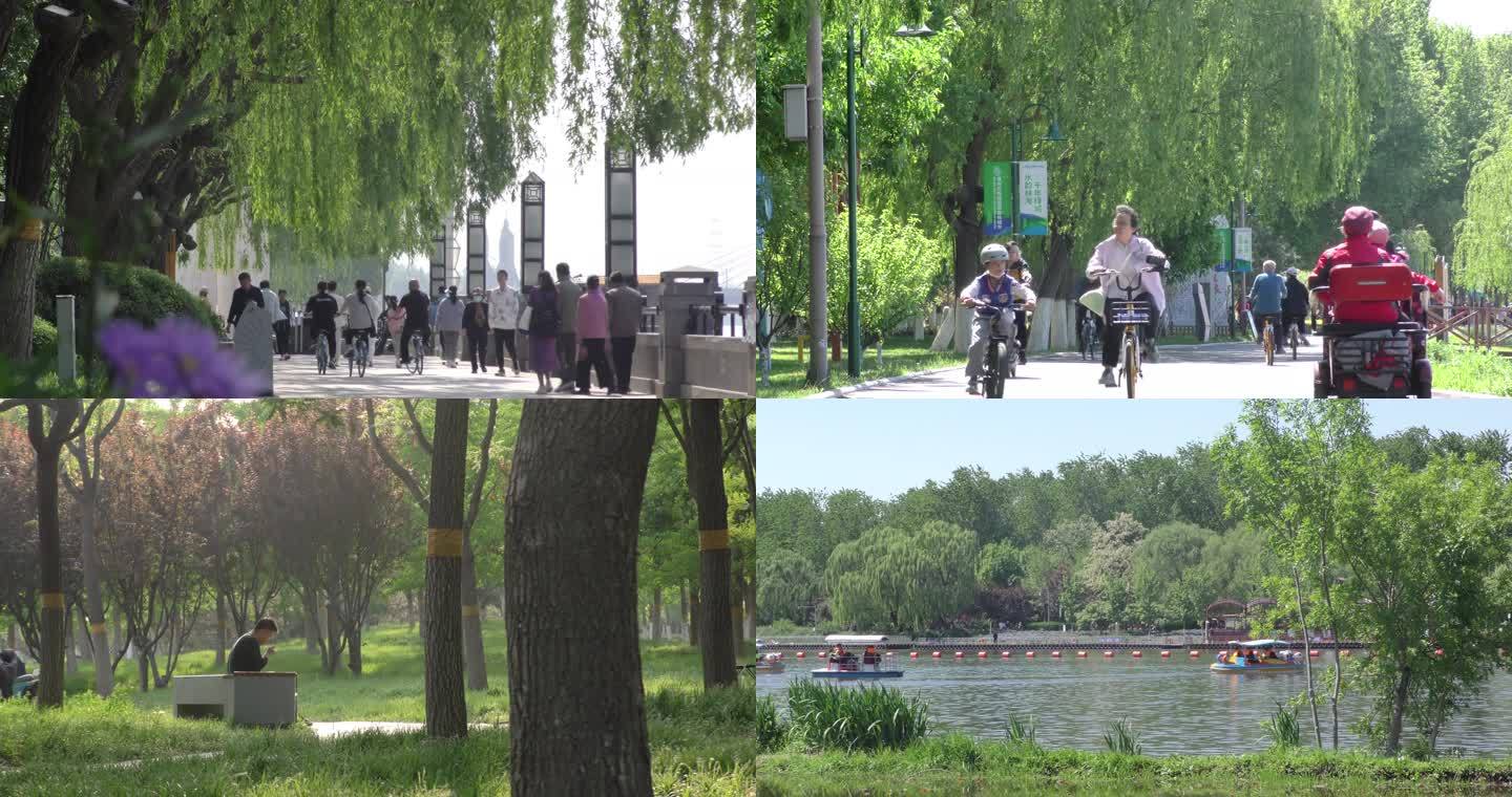 踏青游园骑行逛公园划船游客游人北京旅游