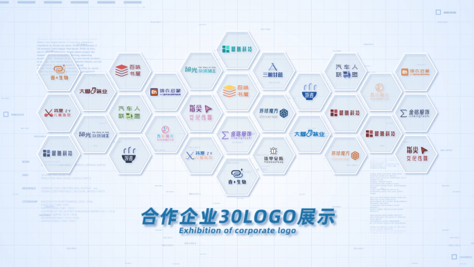 30合作企业公司logo标志展示AE