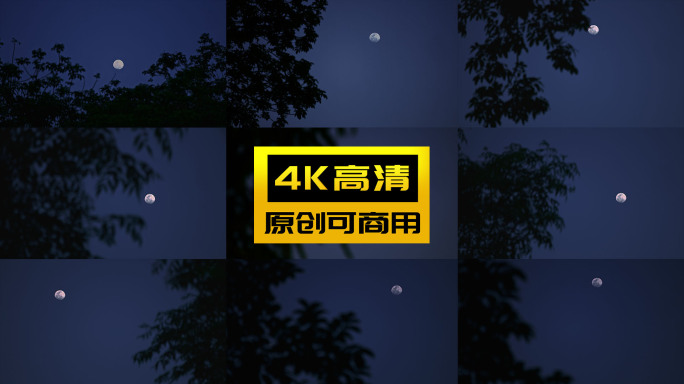 夜晚天空树梢月亮空镜