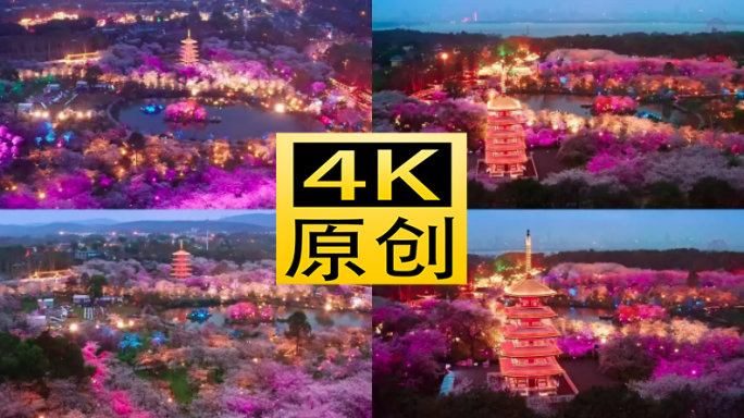 8个东湖樱花园夜景航拍合集