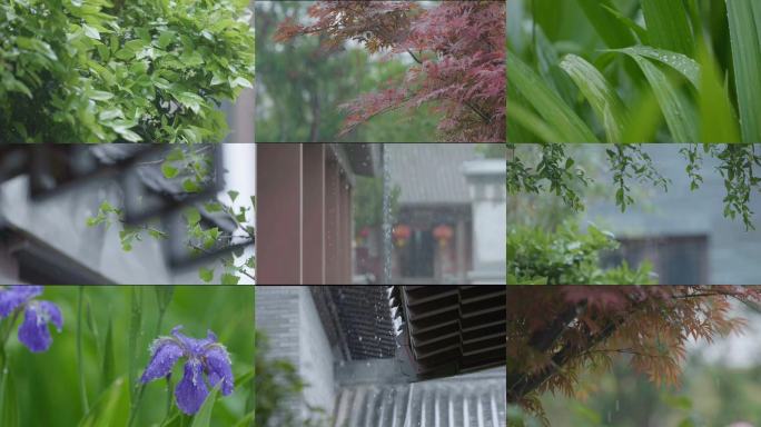 雨水惊蛰谷雨立春意境屋檐雨滴滴水中式