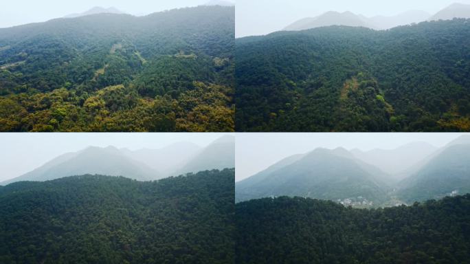 大山里的村庄