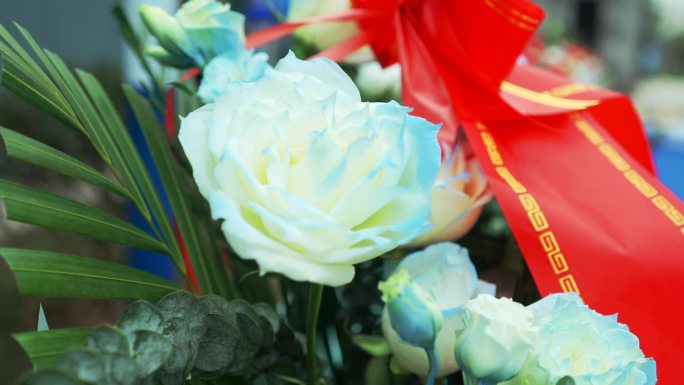 一朵蓝色玫瑰花