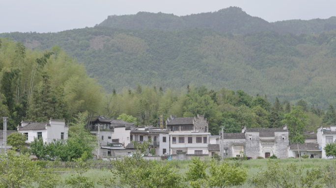 【高清50P】农村景象牛马土地