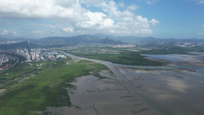 国际红树林中心：深圳福田红树林保护区