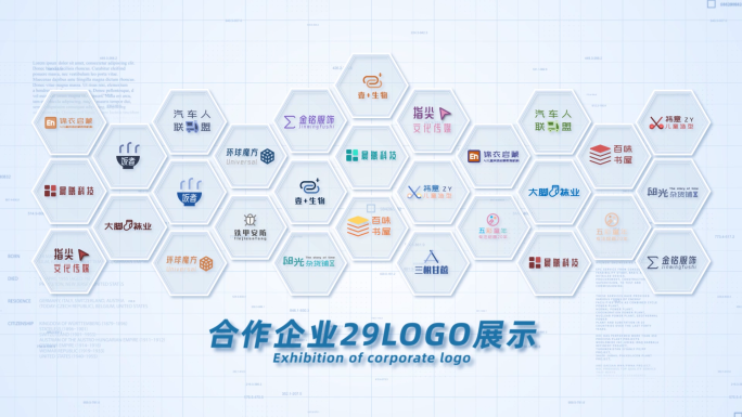 29合作企业公司logo标志展示AE