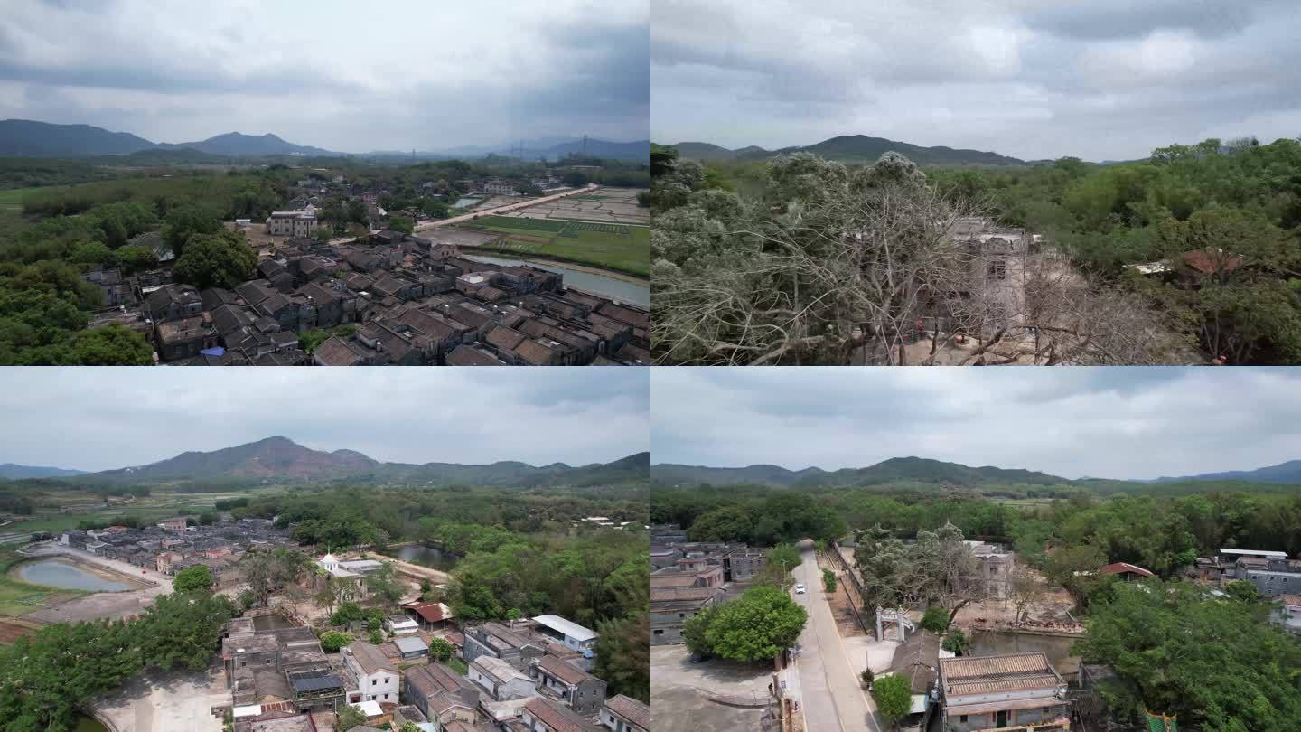 台山百年桥校-广平小学航拍