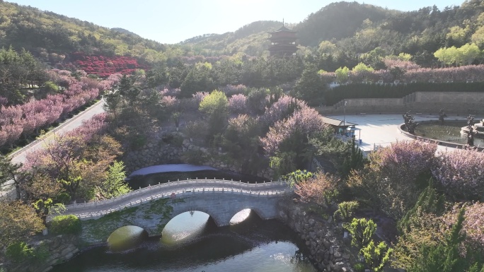 航拍初夏时节的石岛赤山风景区