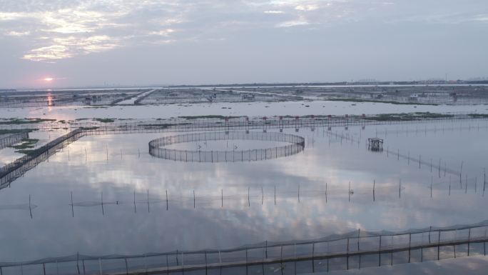 江苏昆山阳澄湖大闸蟹养殖基地4K航拍