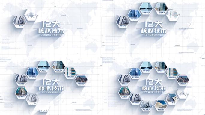 【12】简洁功能信息图文分类十二