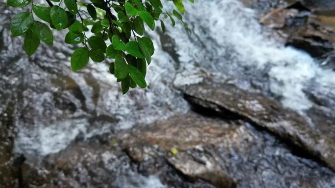 山谷溪流泉水叮咚意境升格