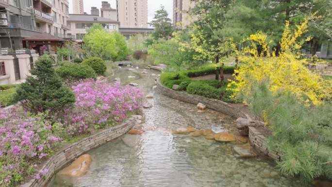 小区初夏花卉