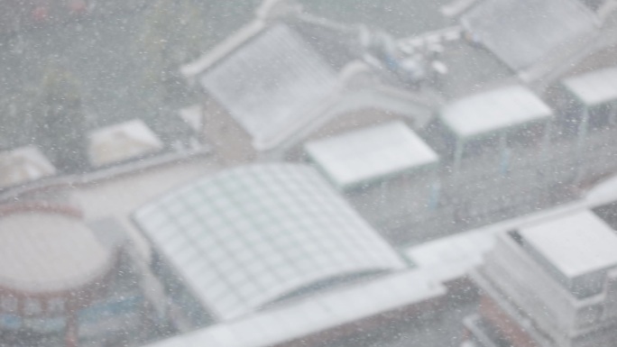 下雪雪花飘飘