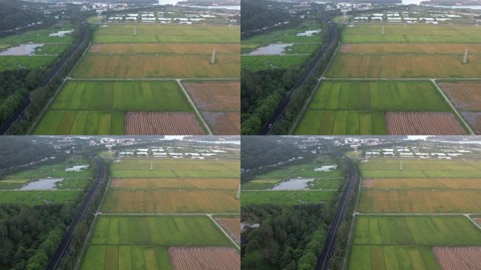 【4K】航拍公路与稻田