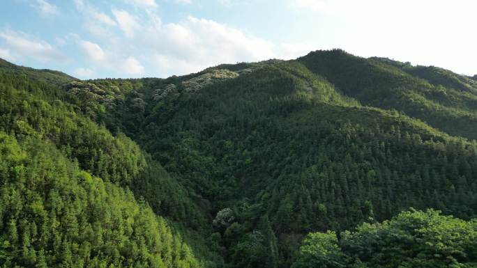 绿水青山翠绿山河