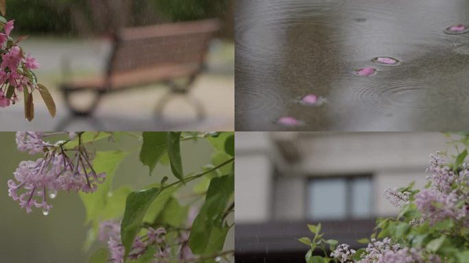 细雨绵绵谷雨居民楼春天城市小区校园下雨