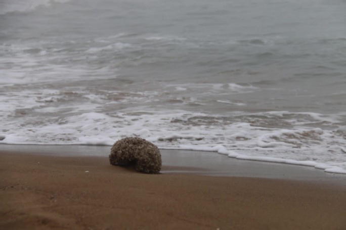 雾中的大海