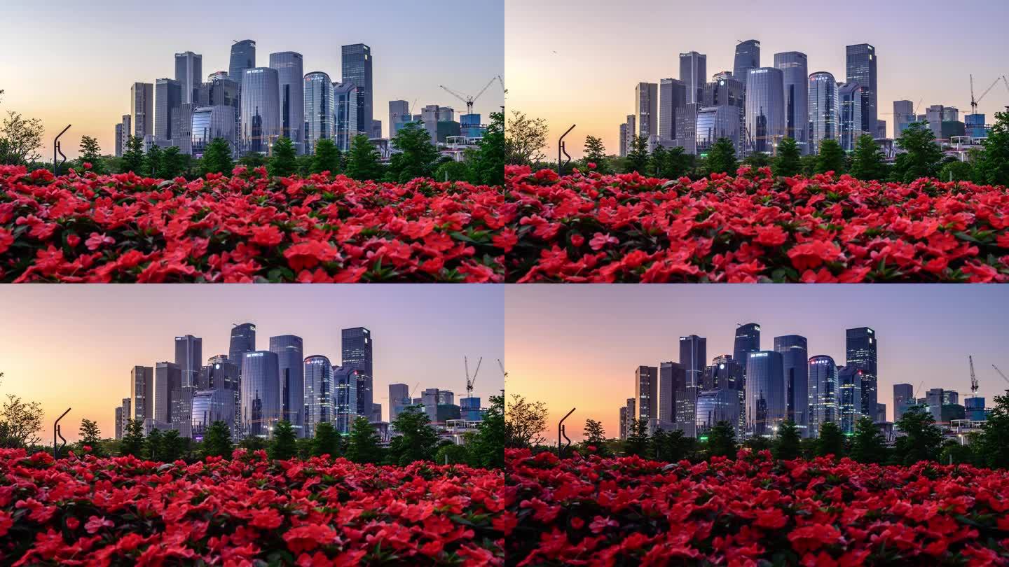 深圳 前海 公园 高楼 日落 宣传 花朵