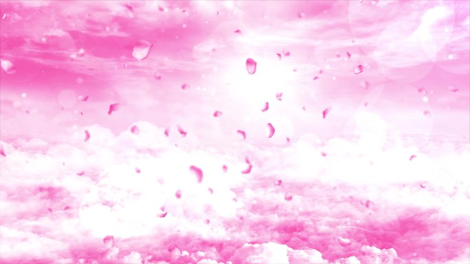 4K粉色唯美云端花瓣飘落背景视频