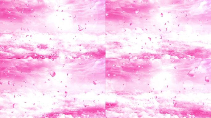 4K粉色唯美云端花瓣飘落背景视频