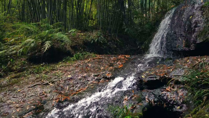 竹林中湍急的泉水水瀑溪流小溪冲刷石头