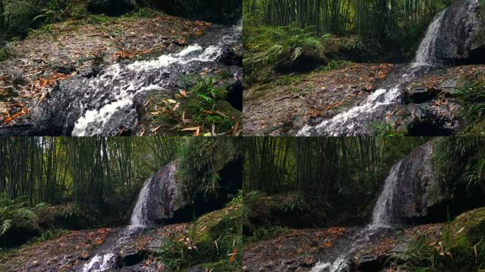 竹林中湍急的泉水水瀑溪流小溪冲刷石头