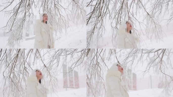 冬季女孩在雪地看雪视频