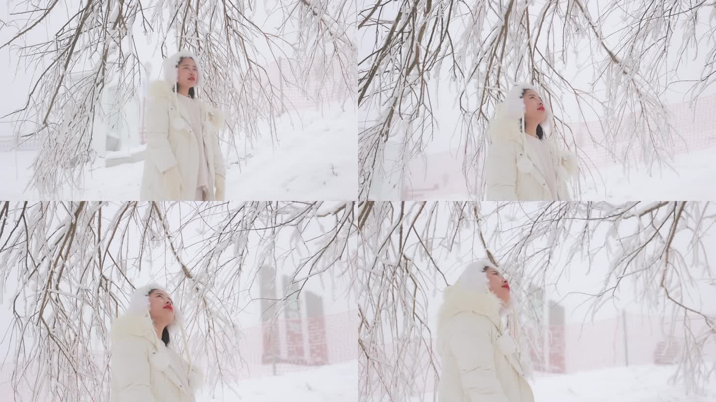 冬季女孩在雪地看雪视频