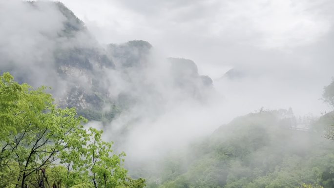 雨后的山谷 山里雾气