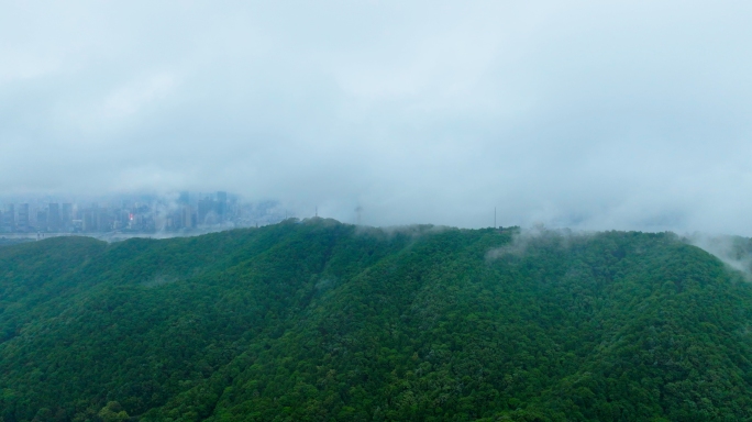 云雾缭绕的长沙岳麓山