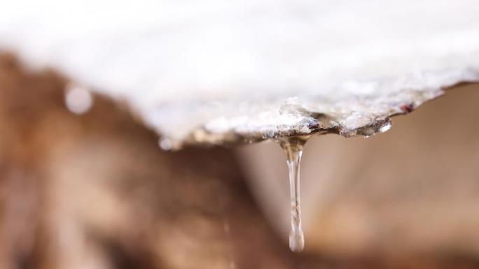 春天冰雪融化水滴滴落