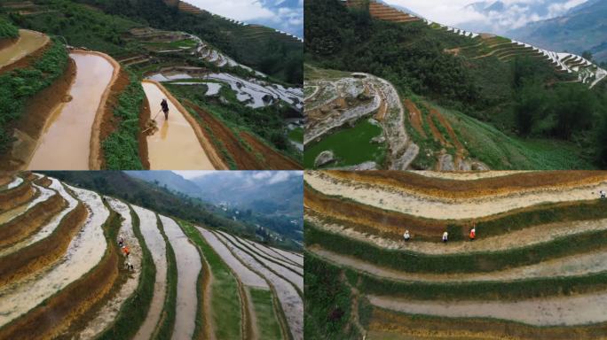 退林还耕耕种面积山区梯田贫瘠土地农民挖地