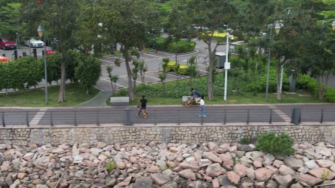 晨练 海边 马路 风景 公园