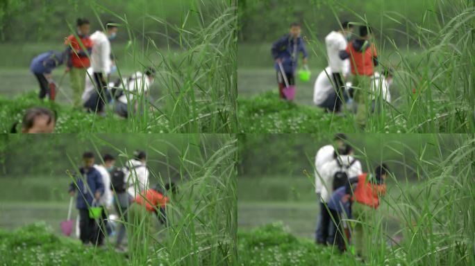 春季儿童郊游在河边抓蝌蚪视频