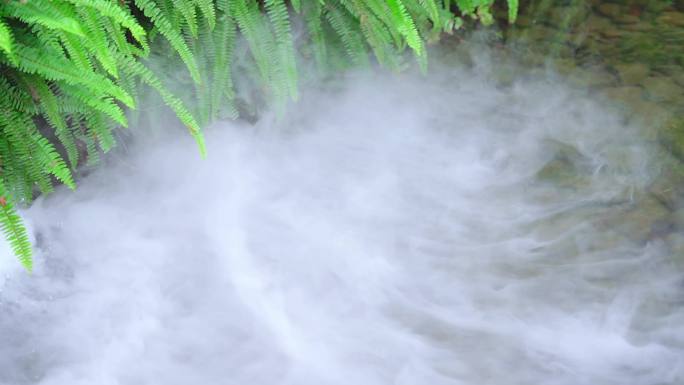 水景绿化造景唯美意境景观池水池雾气