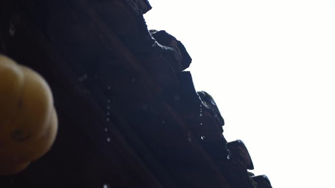 雨天南方景色