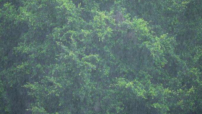 下雨天