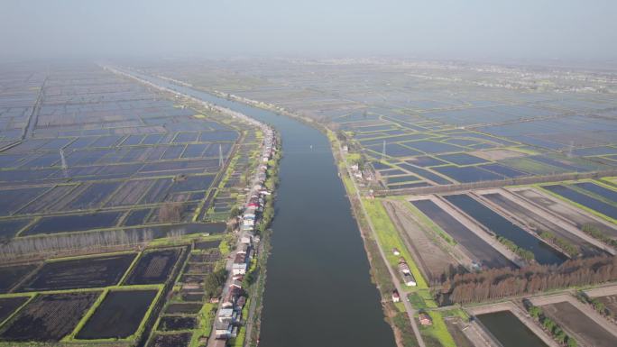 湖北洪湖市洪湖生态旅游风景区水田4K航拍