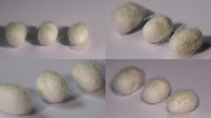 蚕茧  35秒