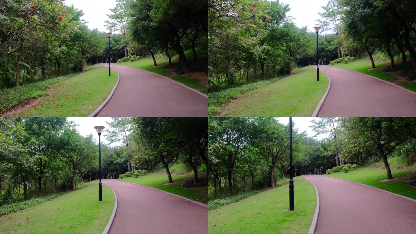 江南公园健身步道