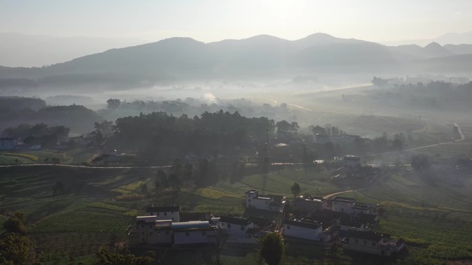 乡村早晨祥和景象