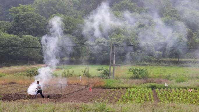 农村春耕锄地开始田间劳作